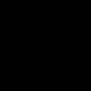 Meet your Posher, Dani